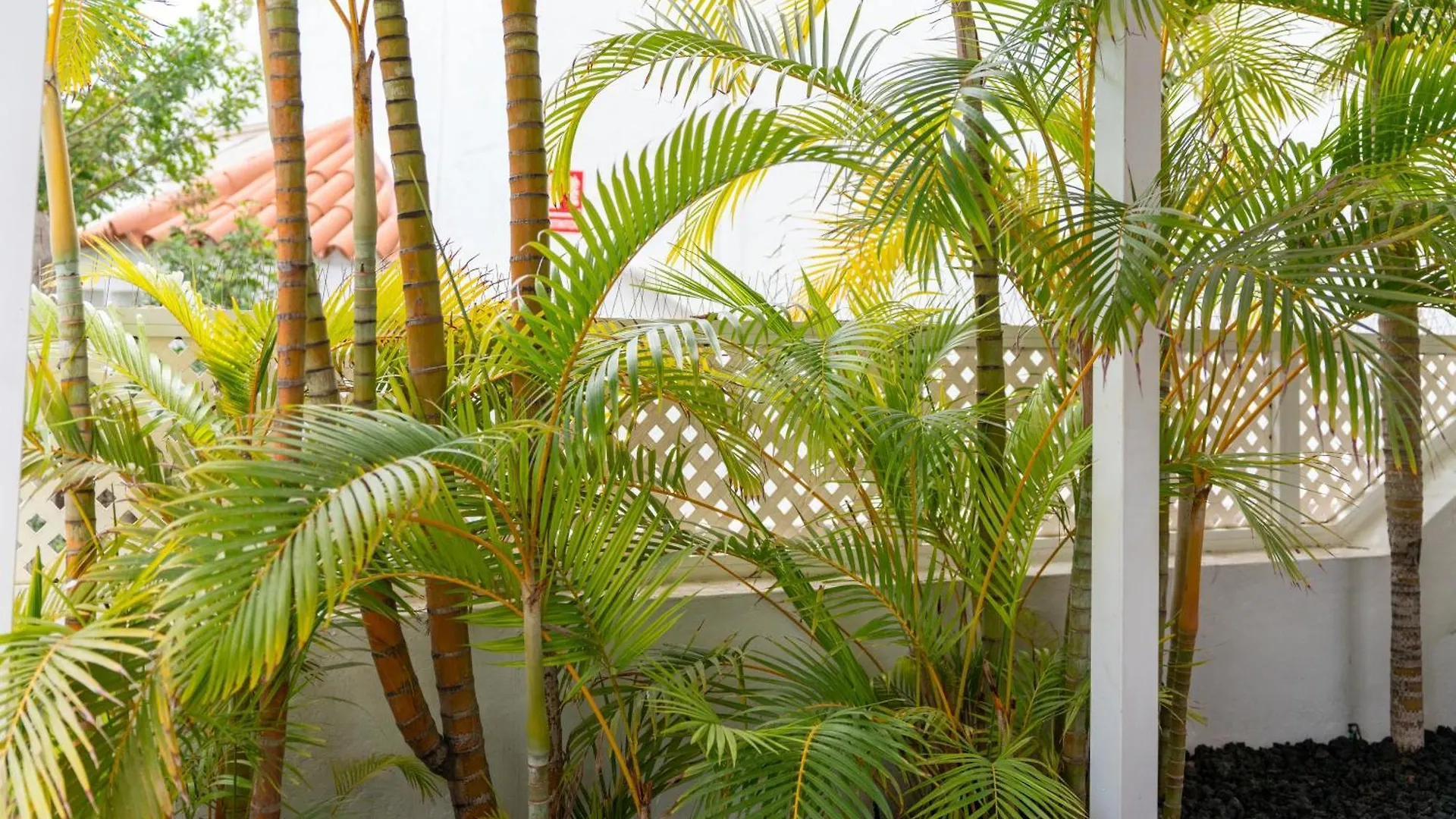 Rooftop Bungalow Pamro - Private Jacuzzi - Fitness Area - Free Wifi - Air Conditioner - Pool - Modern & Comfortable - Sunnygolf Maspalomas  Maspalomas (Gran Canaria)